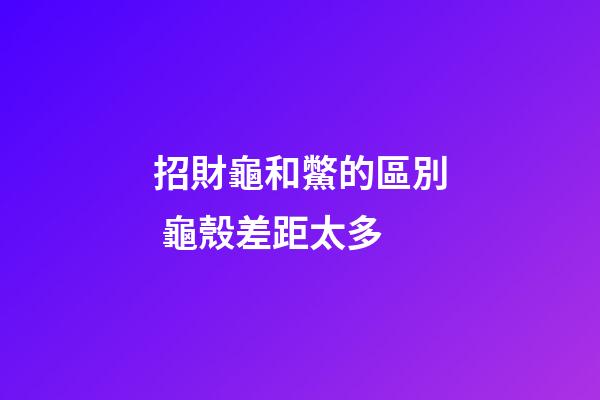 招財龜和鱉的區別 龜殼差距太多